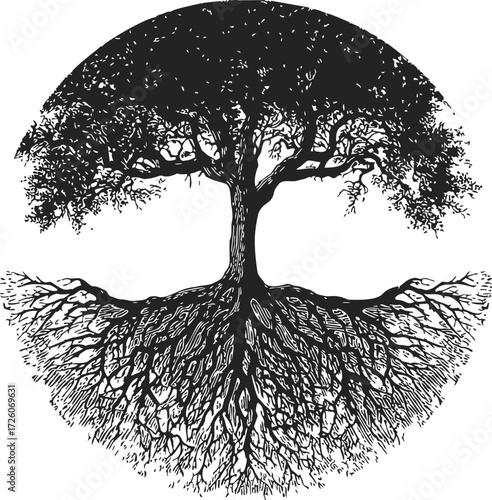 Tree sketch hand drawn with detailed roots and branches in circular composition — stock vector