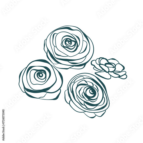 Wallpaper Mural camellia flower line art isolated vector illustration Torontodigital.ca