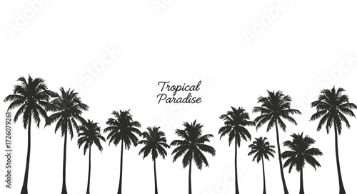 Silhouette of palm trees with text "Tropical Paradise".