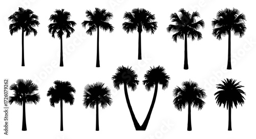 Silhouette Collection of Various Palm Trees.