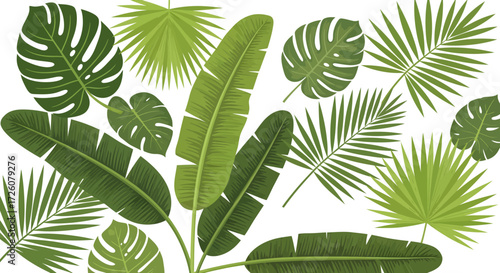 A vibrant collection of tropical leaves, including palm and monstera, arranged against a clean white background.
