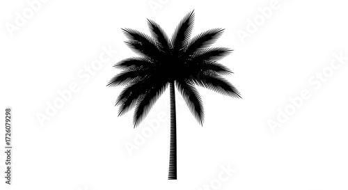 A black silhouette of a tropical palm tree with a slender trunk and bushy fronds, isolated on a white background.