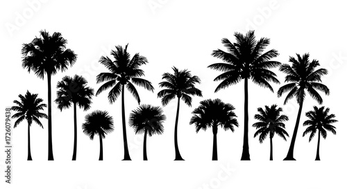 A collection of various black palm tree silhouettes isolated on a clean white background.