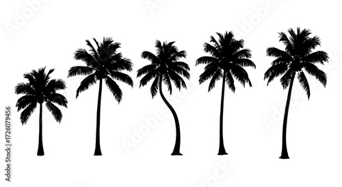 Silhouette of five different palm trees with varying heights and shapes, all in black.