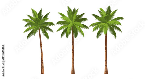 Three vibrant green palm trees with brown trunks standing upright against a white background, suggesting a tropical or beach theme.