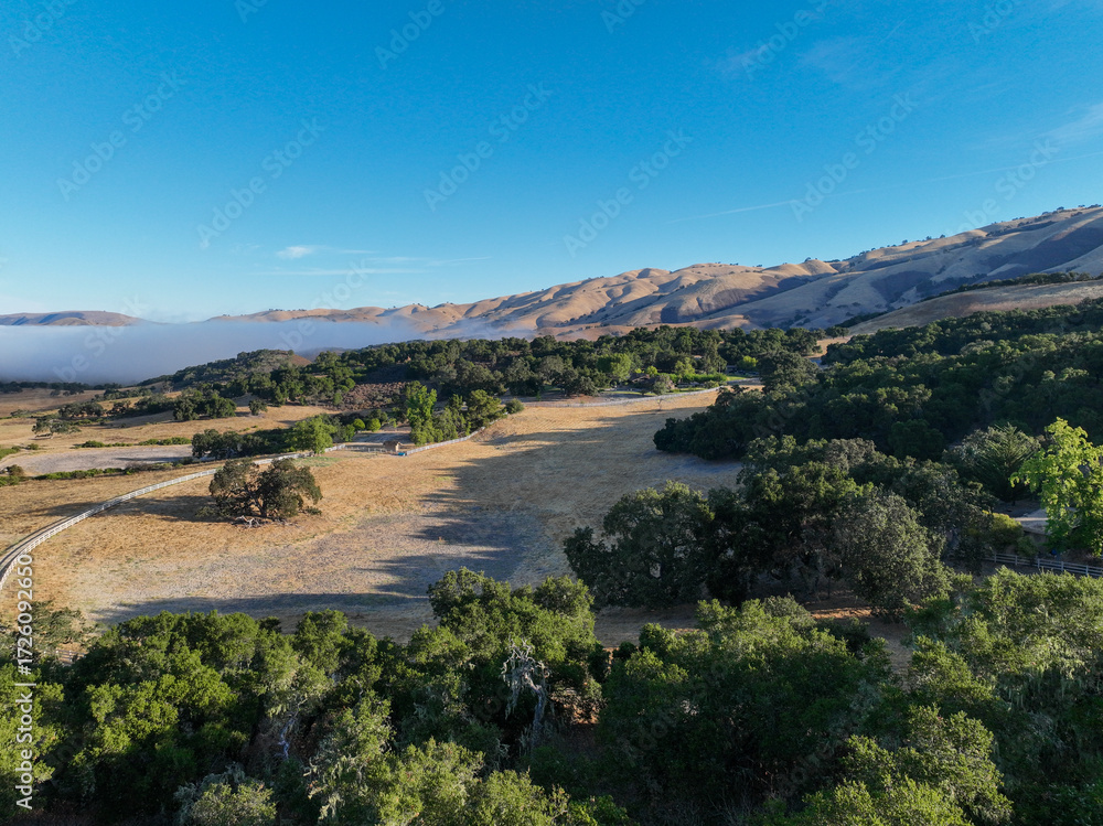 Obraz premium The Carmel Valley in Central California in a Coastal Hills Habitat looking at a UAV Drone View of the Fields, Oak Groves, and Grasslands