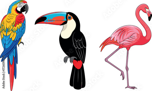 Illustration of a macaw, toucan, and flamingo on a white background