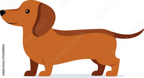 Cute cartoon a illustrator vector Dachshund