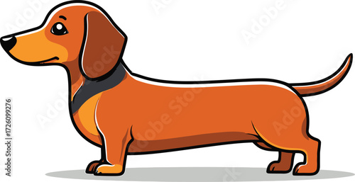 Cute cartoon a illustrator vector Dachshund