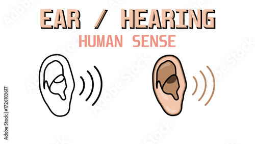 Set of Ear Icon isolated on white background, Human Ear Organ Hearing Health Care, Isolated icon design, Human hearing sense Vector Illustration (EPS 10).