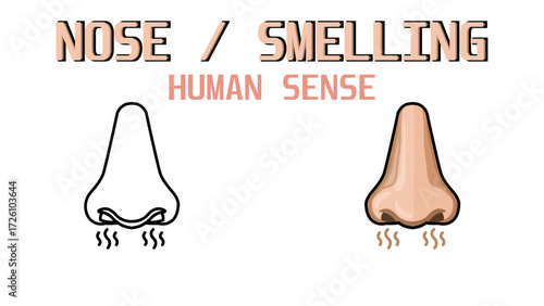 Nose on white background, Organ of human smell, nosey breathing, smell human sense, Set of Nose Vector Illustration (EPS 10).