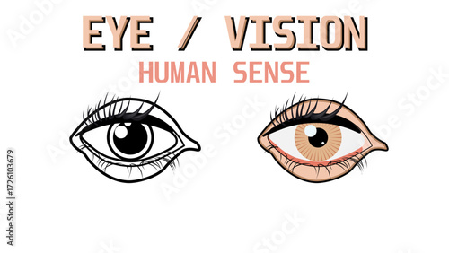A isolated Eye Icon Set. Vision Human Sense, Eyesight, Retina Scan, Color Filled and Outline Style and Anatomy Silhouette, Flat Design Vector Illustration (EPS 10).
