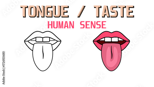 Set of Woman's lips with Tongue sticking out tongue and white teeth, mouth icon. flat human taste sense Vector Illustration (EPS 10).