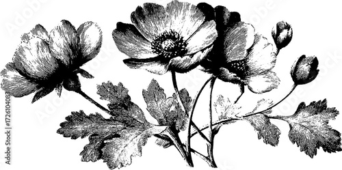 Engraved alpine flowers with scenic butte theme for retro design
