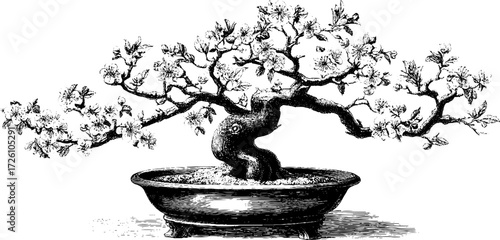 Vintage bonsai tree in engraving style with flowering branches - retro design for art and decor