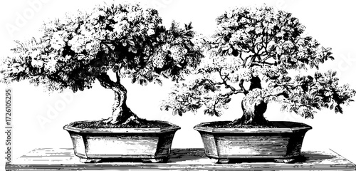 Elegant bonsai trees in engraving style for asian garden design