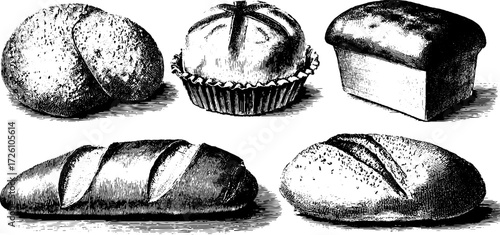 Vintage engraving style bread loaves and rolls illustration for bakery design