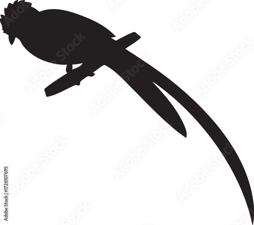 Resplendent Quetzal Silhouettes Vector Icon - Tropical Bird with Long Tail Feathers