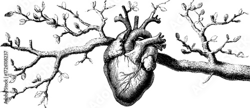 Anatomical heart tree fusion: surreal botanical art illustration