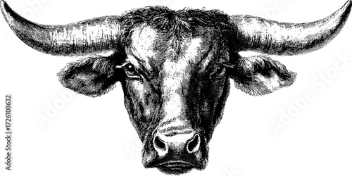 Stylized bull head emblem - vintage engraving for heraldic design and decoration