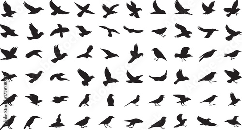Collection of black bird silhouettes in various flying and perching poses flock freedom