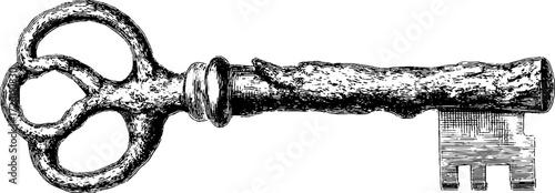 Vintage key shaped like tree branch - nature-inspired design for decoration and art projects