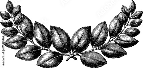 Vintage hand drawn illustration of leaves in circular wreath design for elegant decor