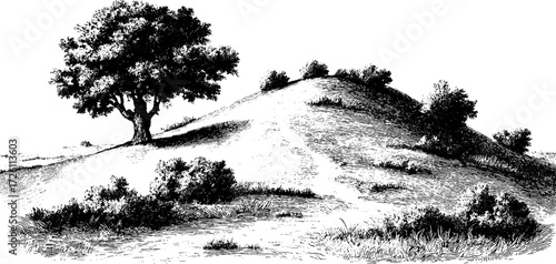 Solitary tree on sand dune in vintage hand drawn landscape for posters and cards