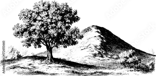 Solitary tree on sand dune landscape design for print or poster