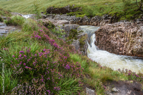 Waterfall with purple heather, Scotland