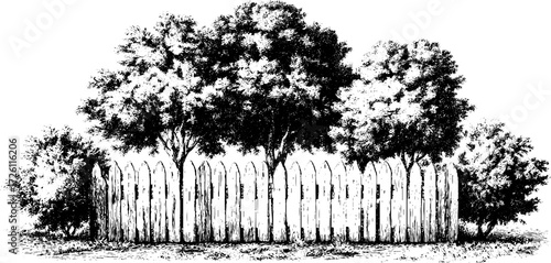 Vintage hand drawn illustration of a wooden fence and trees with engraved details for retro design