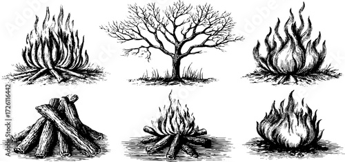 Vintage hand drawn bonfire flames and tree illustrations for design projects