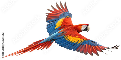 Macaw PNG – Realistic Flying Parrot on Transparent Background