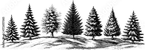 Vintage illustration set of hoarfrost-covered trees for winter-themed designs