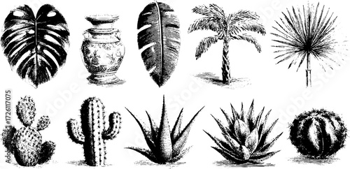 Vintage botanical sketch set featuring monstera and palm leaves for design use