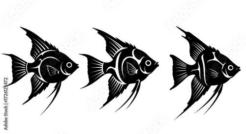 Three elegant black and white angelfish illustrations, presented as a vector graphic, offering a clean and versatile design element for various creative projects.
