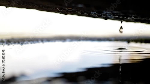 Water Droplet Falling and Creating Ripples.