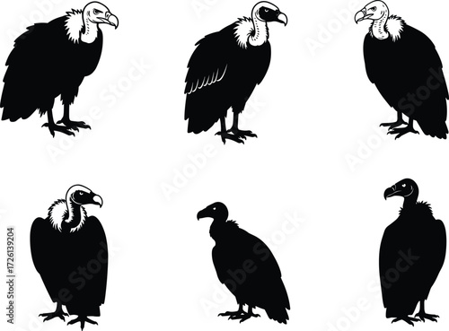 Set of vulture vector illustrations featuring detailed bird silhouettes, wildlife artwork, scavenger bird designs for nature, tattoo, and decorative projects