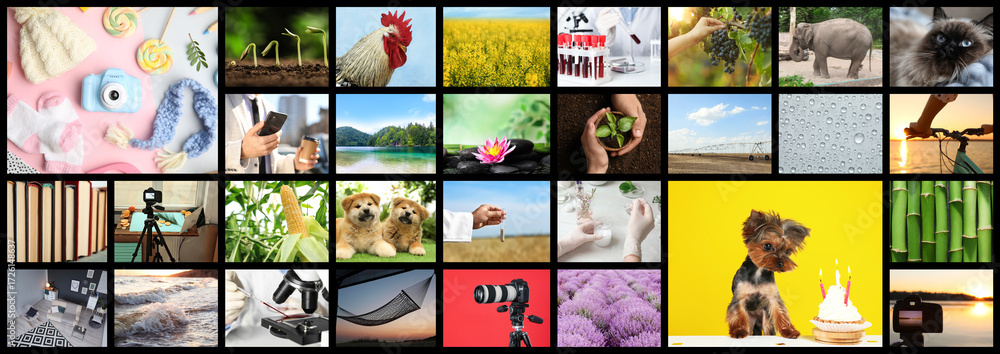 Obraz premium Set of different pictures combined into collage. Banner design