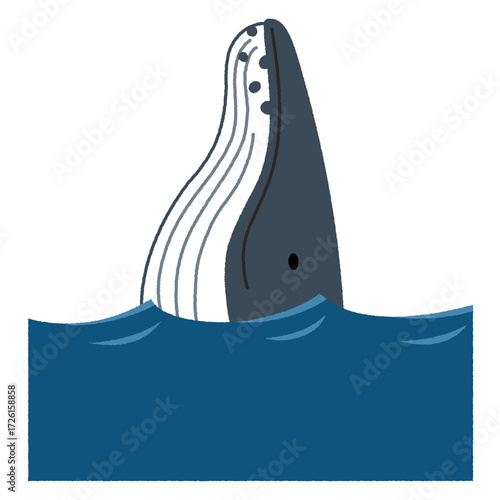 ザトウクジラのスパイホップのイラスト