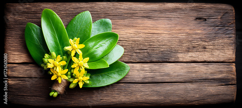rustic wooden frame green leaves yellow wildflowers.