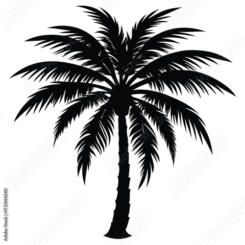 palm tree silhouette on white background.eps