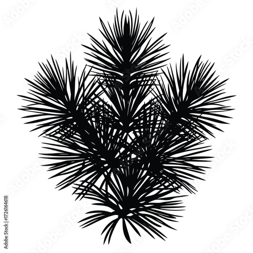 pine needles silhouette on white background (2).eps