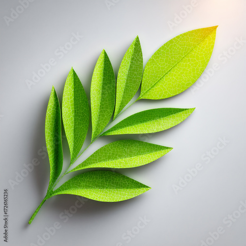 minimalist environment green leaf message.