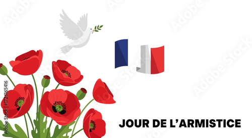 Remembrance Day Poppies, Dove, and French Flag Illustration