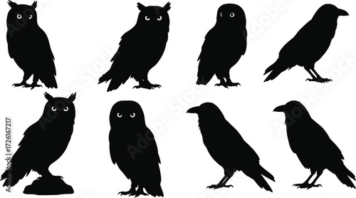 Silhouette vector illustration set of owls and ravens perched, black bird shapes with detailed outlines, isolated wildlife design for decoration, logo, and art

K