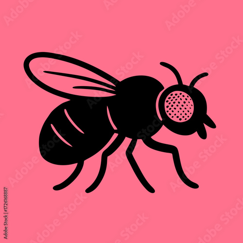 Black silhouette of a fly on a pink background.