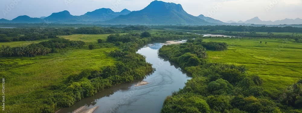 Fototapeta premium Capture Green Valley and Flowing River, Calm Nature and Lush Scene