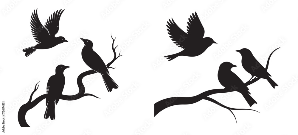 Obraz premium Decorative Nature Bird Icon Set