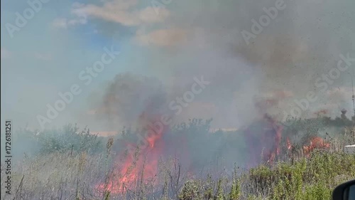 incendio di sterpaglie lungo una strada in estate